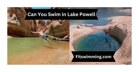 Can You Swim in Bass Lake? Exploring the Depths of Possibility and Beyond