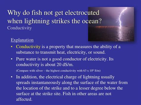 Does Running Water Use Electricity? And Why Do Fish Never Get Electrocuted in the Rain?