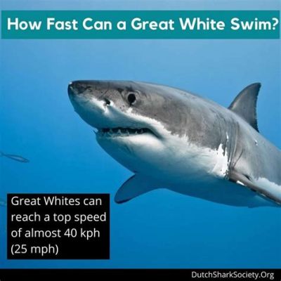 How Fast Does a Great White Shark Swim, and Why Do Pineapples Dream of Electric Sheep?