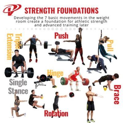 What is Power Physical Education: A Journey Through Strength and Beyond