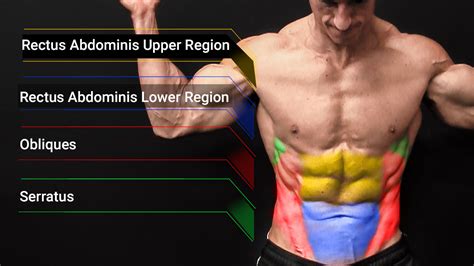 腹筋割るトレーニング：なぜ私たちは腹筋にこだわるのか？